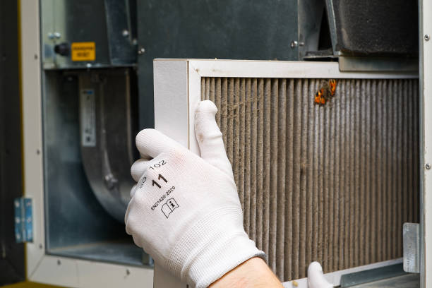 Best Affordable Duct Cleaning Services  in Fobes Hill, WA