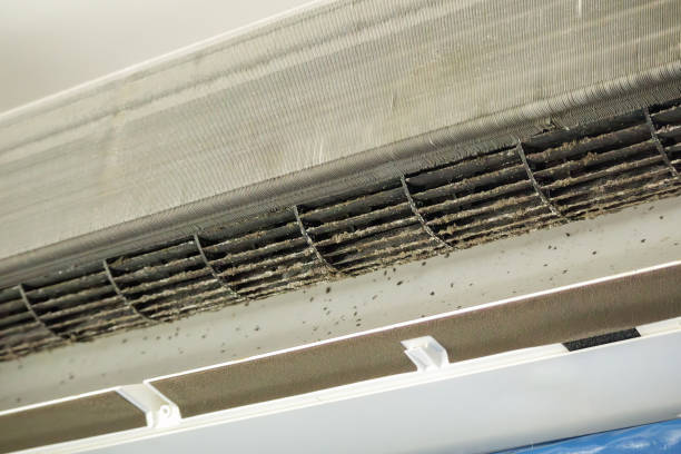 Best Affordable Air Duct Cleaning  in Fobes Hill, WA